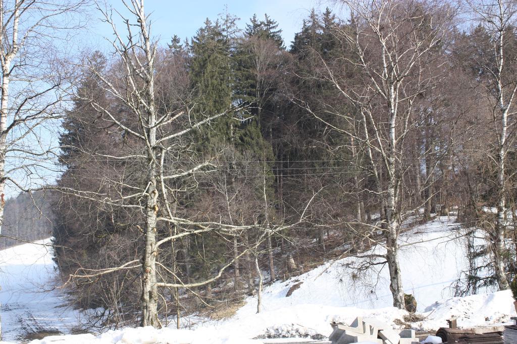 Neukirchen am Teisenberg Ferienwohnungen Neukirchen المظهر الخارجي الصورة
