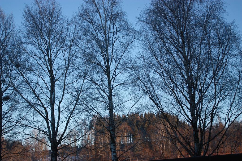 Neukirchen am Teisenberg Ferienwohnungen Neukirchen المظهر الخارجي الصورة