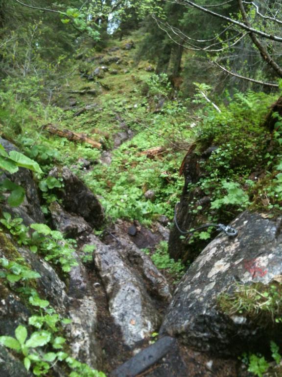 Neukirchen am Teisenberg Ferienwohnungen Neukirchen المظهر الخارجي الصورة